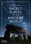 Titel: "Sacred Places of the Ancient World" von Philip Matyszak. Illustration: Steinformation unter Sternenhimmel.