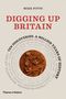 Mike Pitts: Digging Up Britain, Buch