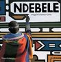 Margaret Courtney-Clarke: Ndebele: The Art of an African Tribe, Buch