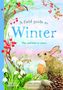 Gabby Dawnay: A Field Guide to Winter, Buch