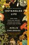 Merlin Sheldrake: Entangled Life, Buch