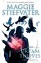 Maggie Stiefvater: The Dream Thieves (the Raven Cycle, Book 2), Buch