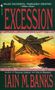 Iain Banks: Excession, Buch