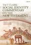 T&T Clark Social Identity Commentary on the New Testament, Buch
