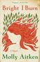 Molly Aitken: Aitken, M: Bright I Burn, Buch