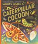 Rachel Ignotofsky: What's Inside a Caterpillar Cocoon?, Buch