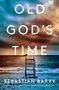 Sebastian Barry: Old God's Time, Buch