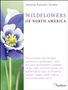 National Audubon Society. Wildflowers of North America. Abbildung einer lila und weißen Blume links.