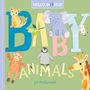 Jill McDonald: Hello, World! Baby Animals, Buch