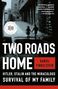 Daniel Finkelstein: Two Roads Home, Buch