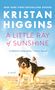 Kristan Higgins: A Little Ray of Sunshine, Buch