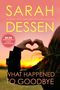 Sarah Dessen: What Happened to Goodbye, Buch