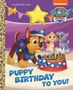 Tex Huntley: Puppy Birthday to You! (Paw Patrol), Buch