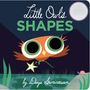 Text: Little Owl's Shapes. Illustration: Kleiner Eule mit großen Augen fliegt über einen Teich, Mond am Himmel., Buch