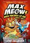John Gallagher: Max Meow 6: When Pancakes Go Bad (Really Bad!), Buch