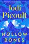 Text: "Jodi Picoult, HOLLOW BONES, a novel." Fragmentiertes blaues Mosaik mit Wolken und fliegenden Vögeln.