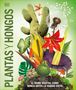 Dk: Plantas Y Hongos (Knowledge Encyclopedia Plants and Fungi!), Buch