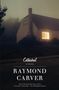 Text: "Cathedral, Stories, Raymond Carver." 
Ein Haus bei Nacht, beleuchtetes Fenster, schlichte Atmosphäre.