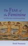 Erich Neumann: The Fear of the Feminine, Buch