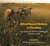 „Alfred Russel Wallace in Paradise“; naturnahe Szene mit einem farbenfrohen Vogel auf einem Baum vor tropischem Wald., Buch