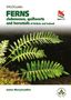 James Merryweather: Britain's Ferns: A Field Guide to the Clubmosses, Quillworts, Horsetails and Ferns of Great Britain and Ireland, Buch