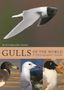 Klaus Malling Olsen: Gulls of the World, Buch