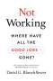 David G. Blanchflower: Not Working, Buch