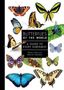Blanca Huertas: Butterflies of the World, Buch