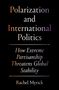 Rachel Myrick: Polarization and International Politics, Buch