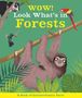 Camilla De La Bedoyere: Wow! Look What's in Forests, Buch