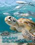 Text: "KINGFISHER OCEAN ENCYCLOPEDIA". Eine Meeresschildkröte schwimmt unter Wasser mit einem Schwarm Fische.