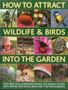Christine Lavelle: How to Attract Wildlife & Birds Into the Garden, Buch