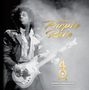 Andrea Swensson: Prince and Purple Rain, Buch