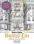 Rebecca Demos: Color & Solve: Haunted City, Buch