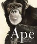 Martin Jenkins: Ape, Buch