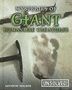 Kathryn Walker: Mysteries of Giant Humanlike Creatures, Buch