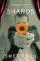 Ismet Prcic: Shards, Buch