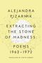 Alejandra Pizarnik: Extracting the Stone of Madness, Buch