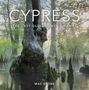 Text: "CYPRESS: THE LAST OLD-GROWTH SWAMPS MAC STONE."  
Großer Zypressenbaum in mystischem, moorigem Wald., Buch