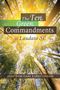 Joshtrom Kureethadam: Ten Green Commandments of Laudato Si', Buch