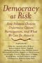 Stephen Macedo: Democracy at Risk, Buch
