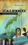 Peter Laufer: Calexico: True Lives of the Borderlands, Buch