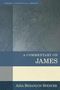 Aida Besancon Spencer: A Commentary on James, Buch