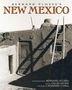 Gilles Mora: Bernard Plossu's New Mexico, Buch