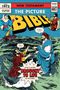 Iva Hoth: The Picture Bible New Testament, Buch