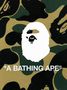 Nigo: A Bathing Ape, Buch