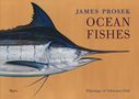 James Prosek: Ocean Fishes: Paintings of Saltwater Fish, Buch