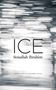 Sonallah Ibrahim: Ice, Buch