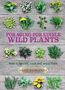 Gail Harland: Foraging for Edible Wild Plants, Buch