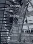 Norman Foster: The Reichstag, Buch